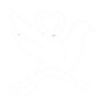 control de palomas logo